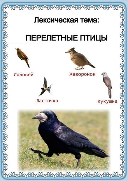Лексическая тема "Перелетные птицы весной"